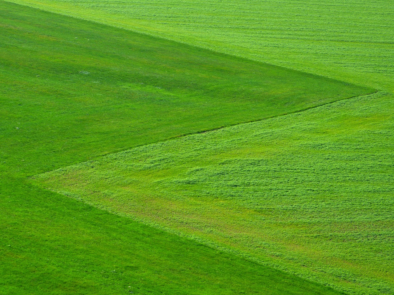 A green grassy landscape