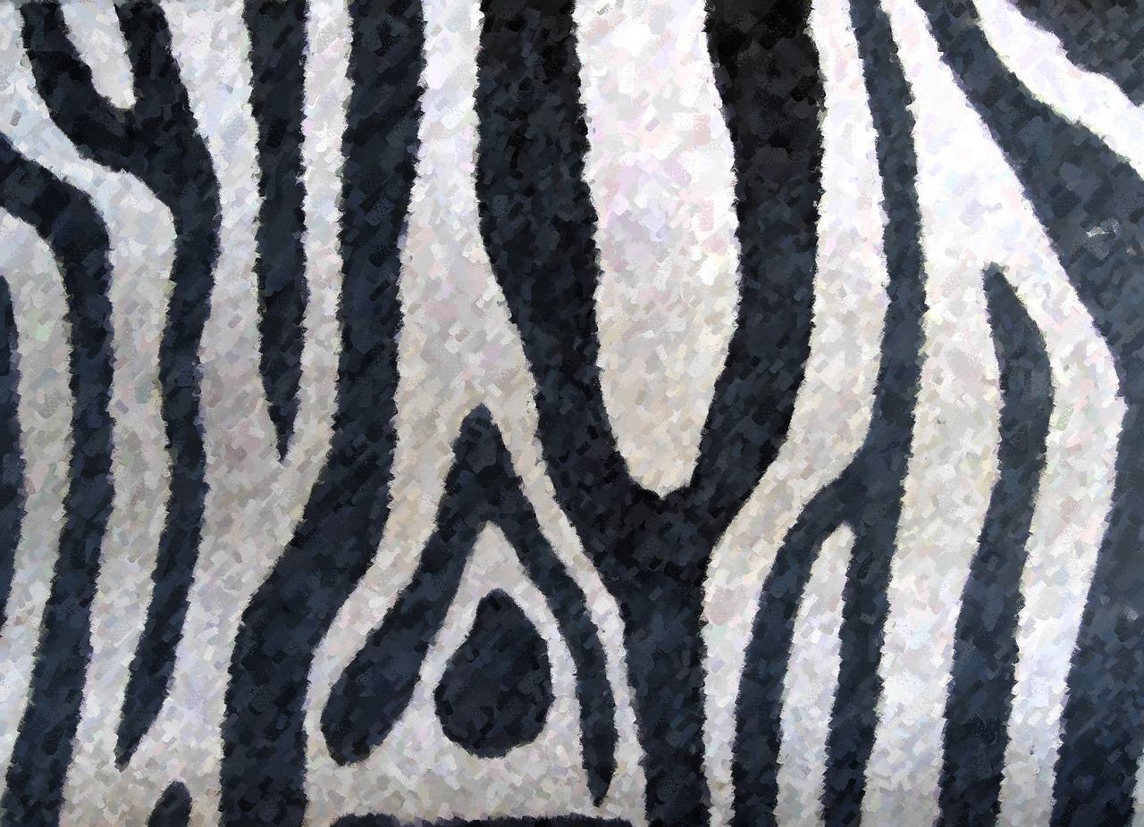 A close up of zebra stripes